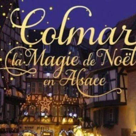 Aux Portes De La Petite Venise Colmar Exterior photo
